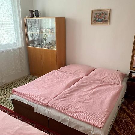 Apartmán Celý byt Želnava Exteriér fotografie
