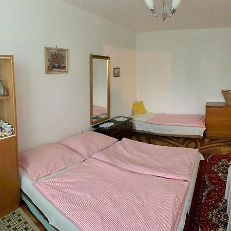 Apartmán Celý byt Želnava Exteriér fotografie