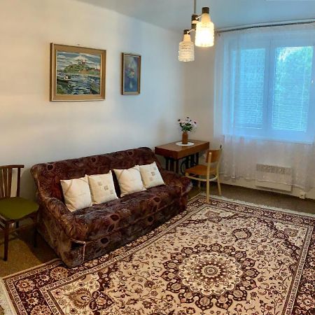 Apartmán Celý byt Želnava Exteriér fotografie