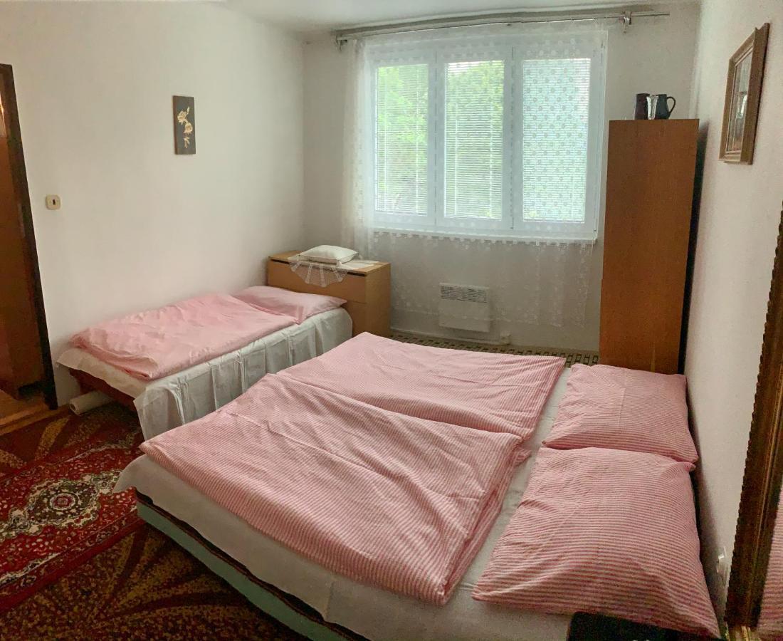 Apartmán Celý byt Želnava Exteriér fotografie