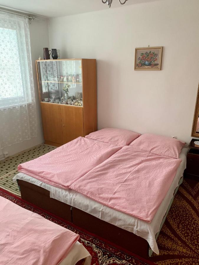 Apartmán Celý byt Želnava Exteriér fotografie
