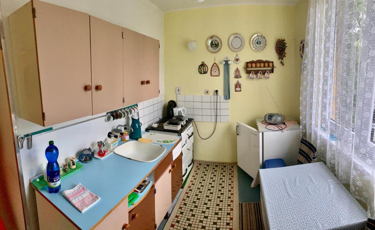 Apartmán Celý byt Želnava Exteriér fotografie