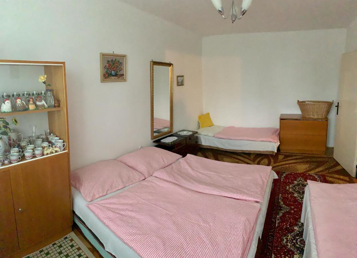 Apartmán Celý byt Želnava Exteriér fotografie
