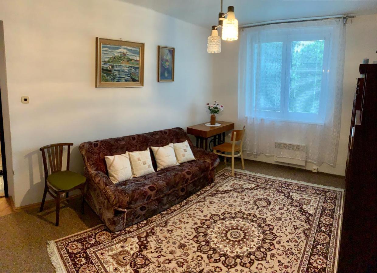Apartmán Celý byt Želnava Exteriér fotografie
